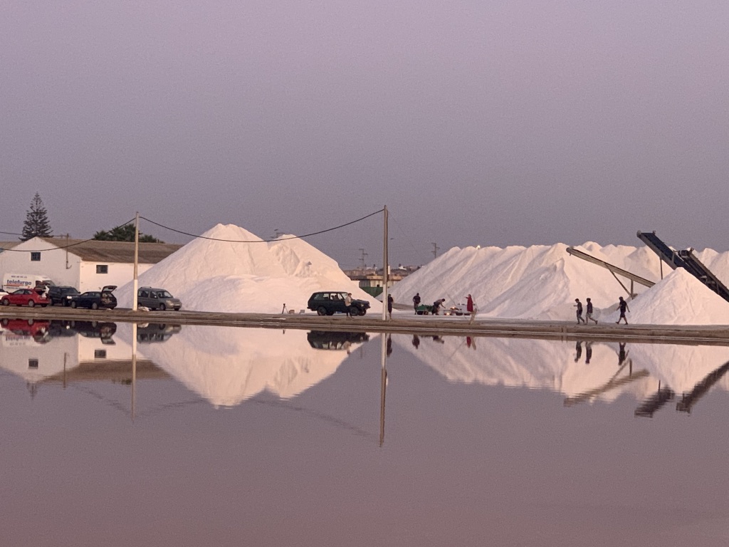 Gioconda Scott – Events – Dinner in a Saltscape Gioconda Scott - Events - Dinner in a Saltscape